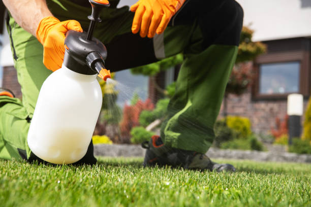 Best Pest Prevention Services  in Maxwell, CA