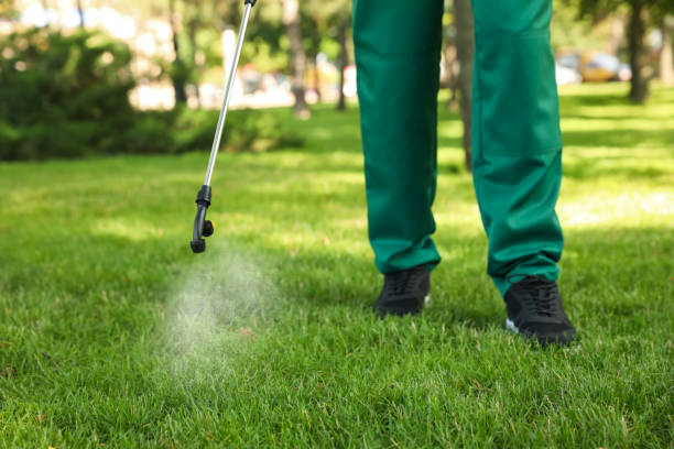 Pest Control Cost in Maxwell, CA