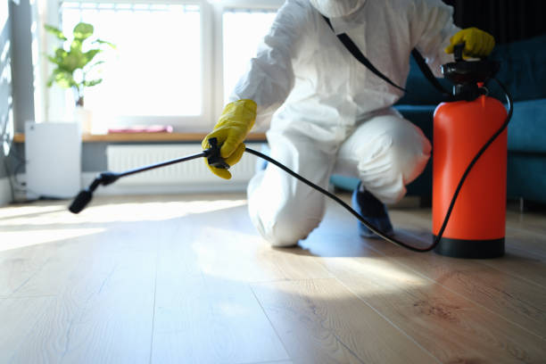 Best Best Pest Control Companies  in Maxwell, CA
