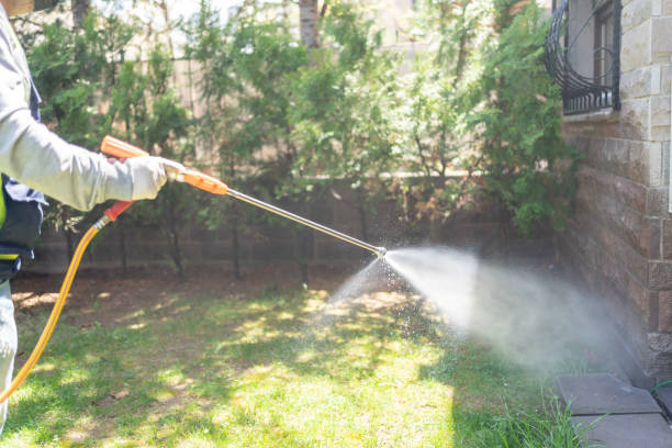 Best Emergency Pest Control  in Maxwell, CA